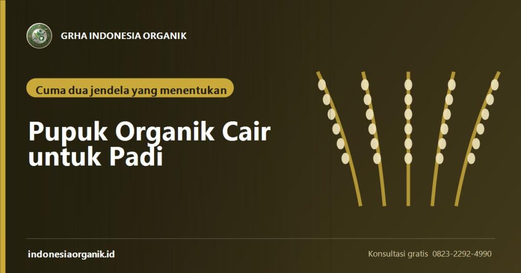 Banner artikel pupuk organik cair untuk padi