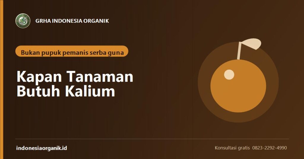 Banner artikel kapan tanaman butuh kalium