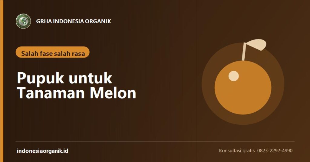 Banner artikel pupuk untuk tanaman melon