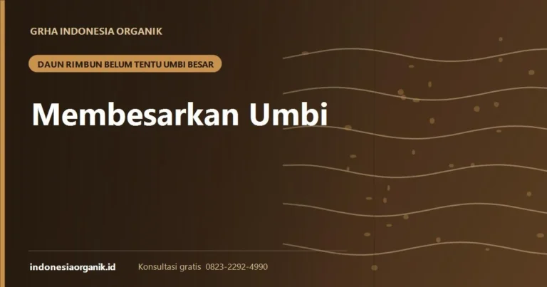Cara Membesarkan Umbi: Kenapa Daun Rimbun Belum Tentu Umbi Besar