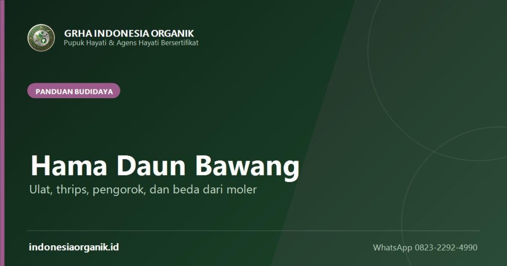 Sampul panduan mengenali hama daun bawang dan membedakannya dari moler dari Grha Indonesia Organik