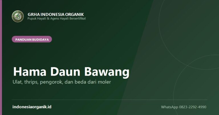 Hama Daun Bawang: Mengenali Ulat, Thrips, dan Pengorok Daun