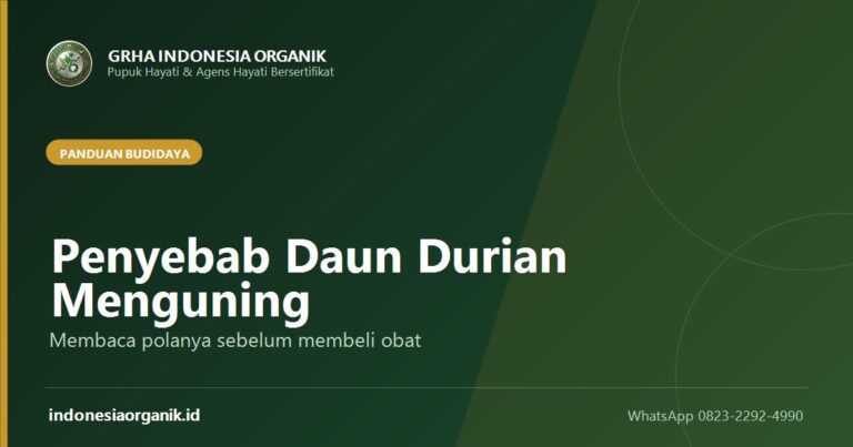 Penyebab Daun Durian Menguning dan Cara Mengatasinya