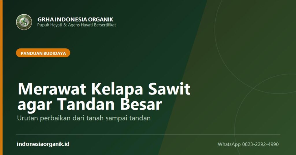 Sampul panduan merawat kelapa sawit agar tandan besar dan lebat dari Grha Indonesia Organik