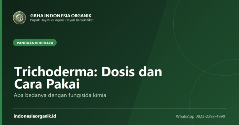 Trichoderma: Dosis, Cara Pakai, dan Bedanya dengan Fungisida Kimia