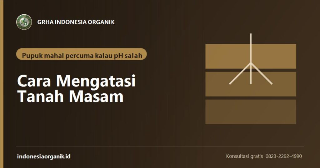 Banner artikel cara mengatasi tanah masam