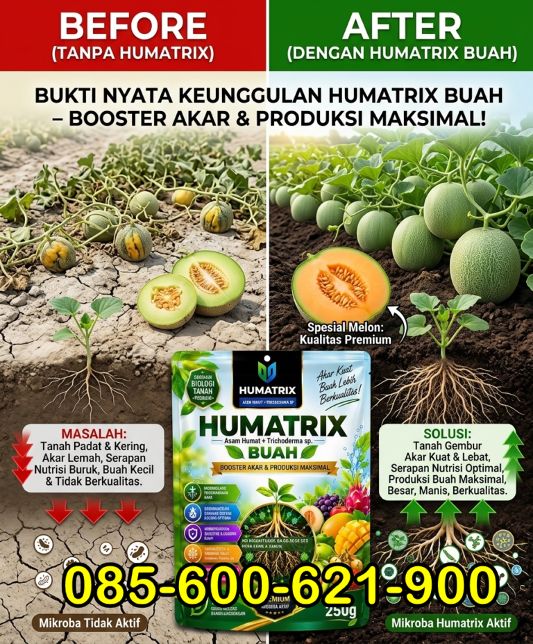 SUPER.085-600-621-900, Agen Pupuk untuk tanaman melon Jombang, Distributor Pupuk pembesar buah melon Tuban