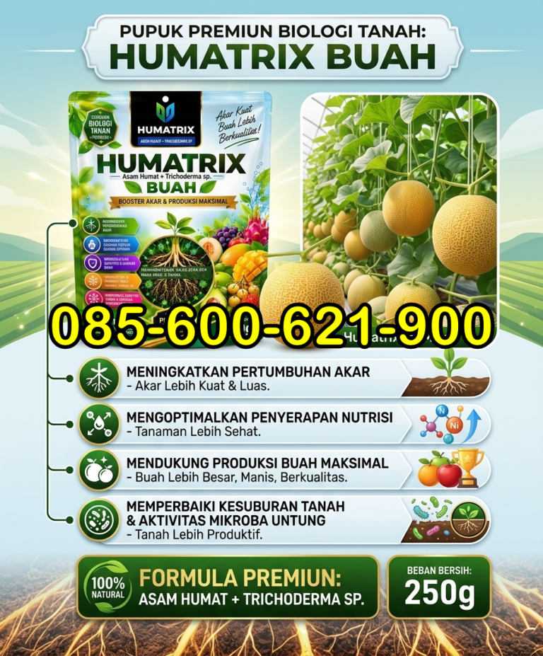 085-600-621-900, Agen Pupuk untuk tanaman melon Pati, Distributor Pupuk pembesar buah melon Sragen