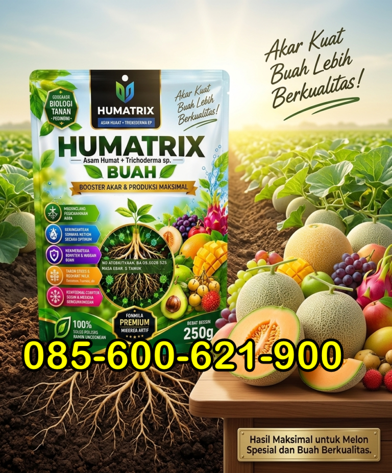 ALAMI.085-600-621-900, Distributor Pupuk pembesar buah melon Tuban, Produsen Pupuk melon agar manis Nganjuk,