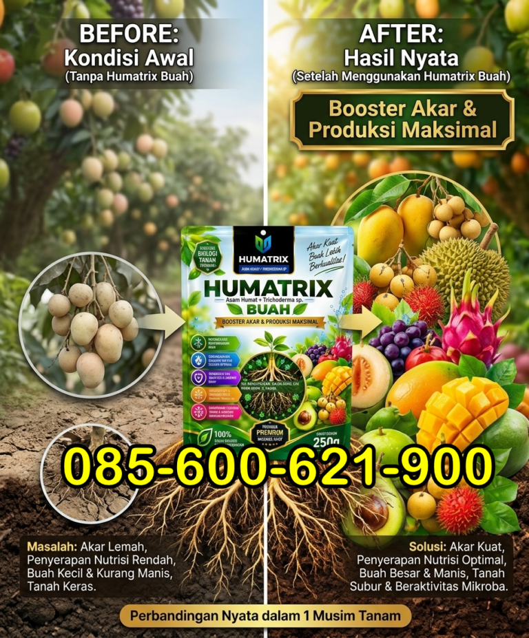 TERBUKTI.085-600-621-900, Distributor pupuk semangka agar besar Sumbawa, Produsen pupuk semangka alami Bima
