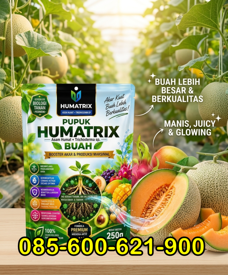 ASLI.085-600-621-900, Harga Pupuk buah melon Ponorogo, Agen Pupuk untuk tanaman melon Jombang,