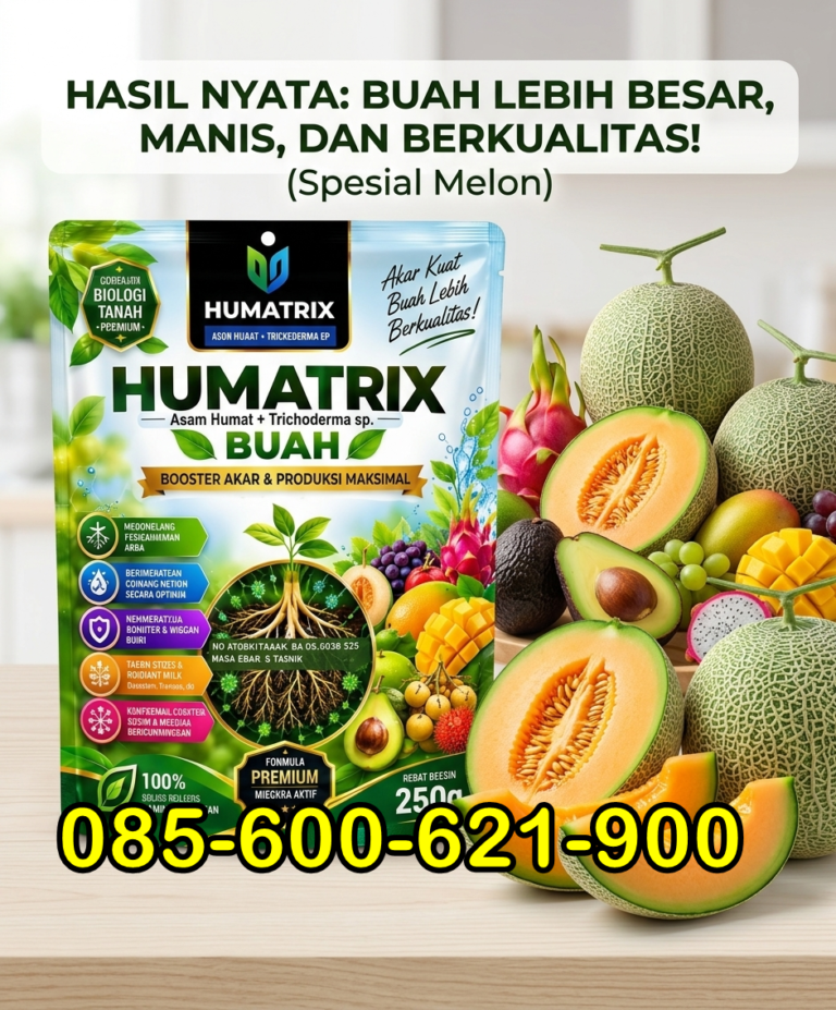 085-600-621-900, Jual Pupuk Melon Ngawi, Harga Pupuk buah melon Ponorogo