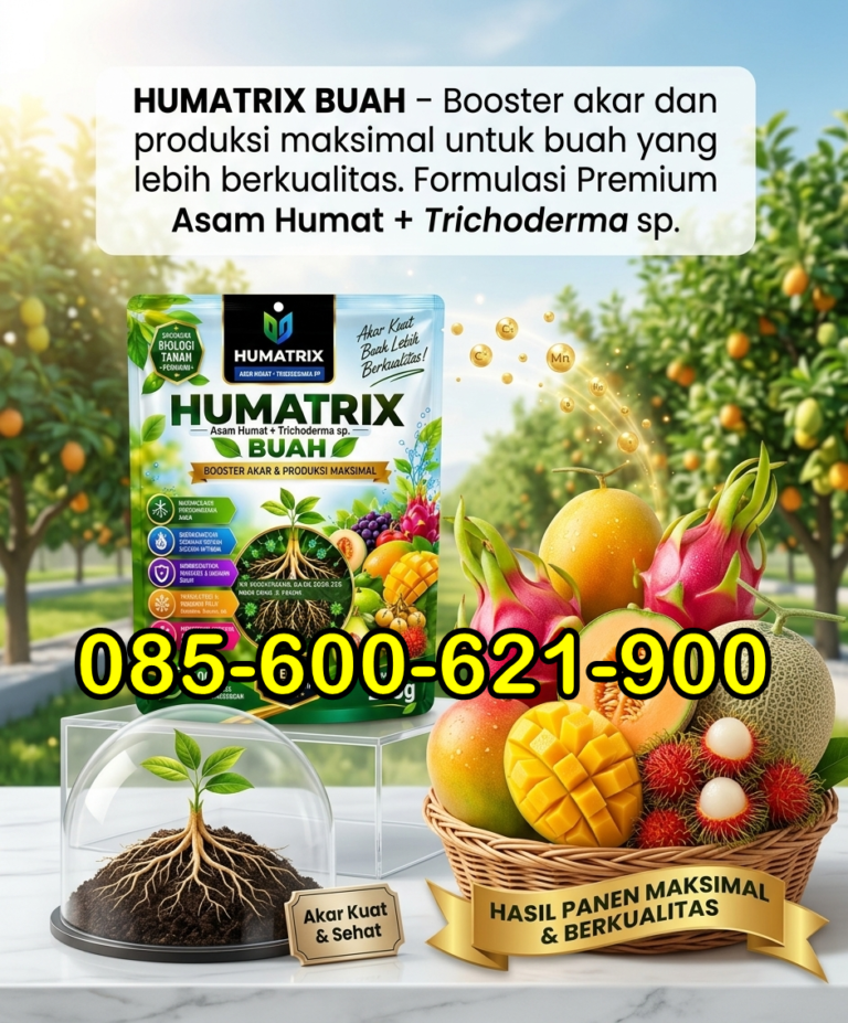 SUPER.085-600-621-900, Jual pupuk semangka awal tanam Lombok Tengah, Harga pupuk semangka agar manis Lombok Timur