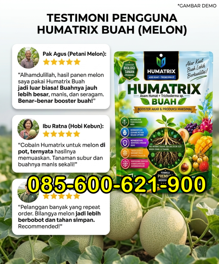 SUPER.085-600-621-900, Pabrik Pupuk organik melon Klaten, Grosir Pupuk cair untuk melon Boyolali