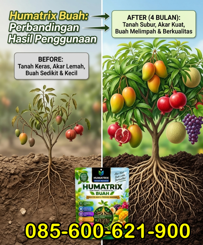 SUPER.085-600-621-900, Supplier pupuk semangka dari awal sampai akhir Karangasem, Toko pupuk perangsang akar semangka Bangli