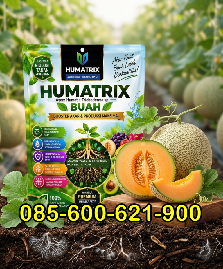 PROMO.085-600-621-900, Toko Pupuk melon fase generatif Madiun, Pusat Booster buah melon Jember,